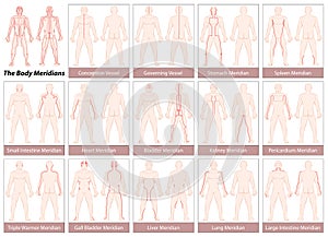 Body Meridians Chart