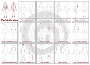 Body Meridians Chart Woman Flow Direction