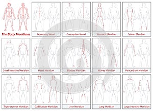 Body Meridians Schematic Diagram Flow Direction