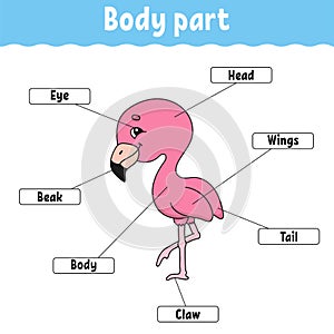 Body part. Learning words. Education developing worksheet. Activity page for study English. Game for children. Funny character.