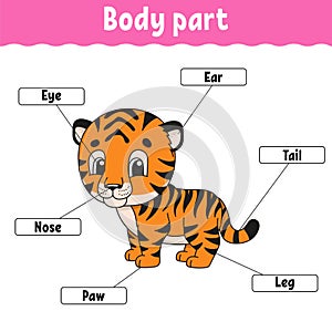 Body part. Learning words. Education developing worksheet. Activity page for study English. Game for children. Funny character.