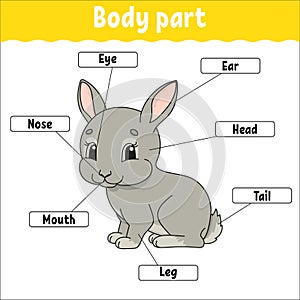 Body part. Learning words. Education developing worksheet. Activity page for study English. Game for children. Funny character.