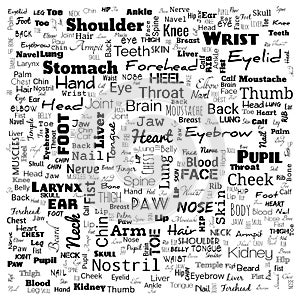 body part word cloud, word cloud use for banner, painting, motivation, web-page, website background, t-shirt & shirt printing,