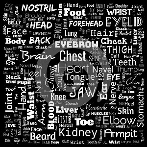 body part word cloud, word cloud use for banner, painting, motivation, web-page, website background, t-shirt & shirt printing,