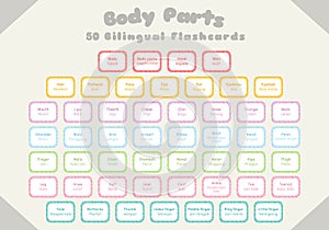Body Parts Colorful Bilingual Flashcards Vector Set
