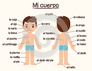 Body parts in Spanish photo
