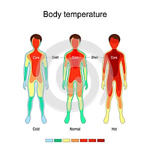 Body temperature and thermoregulation photo