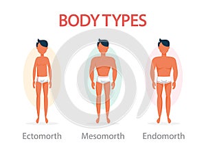 Body type concept. Endomorph, mesomorph and ectomorph photo