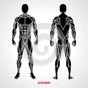 Body Type Ectomorph. Front and back view. Vector illustration