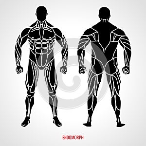 Body Type Endomorph. Front and back view. Vector illustration