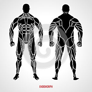 Body Type Endomorph. Front and back view. Vector illustration photo