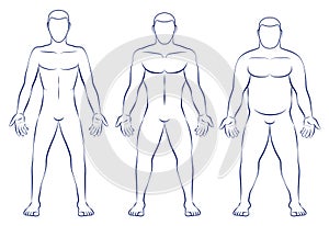 Body Types Ectomorph Mesomorph Endomorph