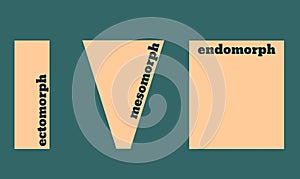 Body types: Ectomorph, Mesomorph and Endomorph. Vector illustration.