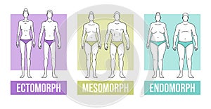 Body types flat vector illustration and endomorph