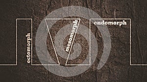 Body types icons set. Ectomorph, mesomorph and endomorph.