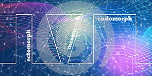 Body types icons set. Ectomorph, mesomorph and endomorph.
