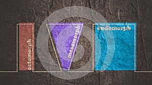 Body types icons set. Ectomorph, mesomorph and endomorph.