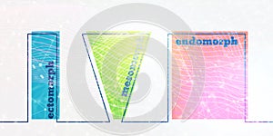 Body types icons set. Ectomorph, mesomorph and endomorph.