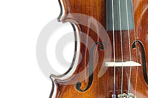 Body of violin
