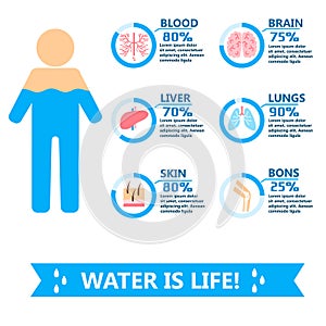 Body water drink infographics health people diet lifestyle concept brochure infochart vector illustration