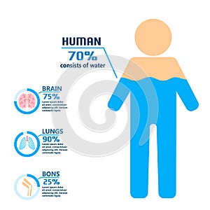 Body water drink infographics health people diet lifestyle concept brochure infochart vector illustration photo