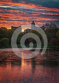 A body of water with trees and buildings in the background, Harlem Meer, Central Park, New York City