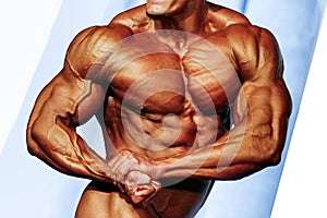 Bodybuilder athlete torso