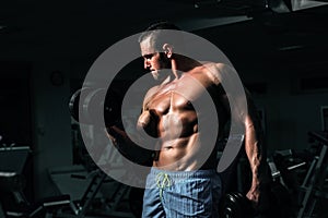Bodybuilder training biceps in gym with dumbbells exercises. Sportsman with shirtless torso. Sporty workout. Athletic