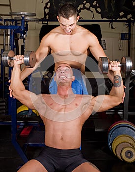 Bodybuilders training