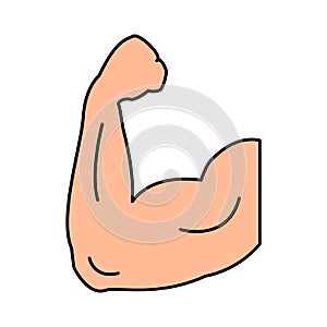 Bodybulider muscle arm contour, icon on the white background