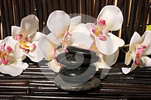 Bodycare massage items