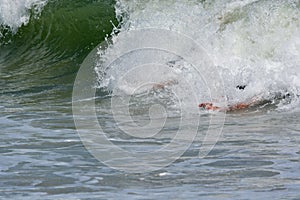 Bodysurfer Catching a Wave