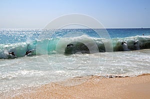 Bodysurfing Sandy Beach Hawaii