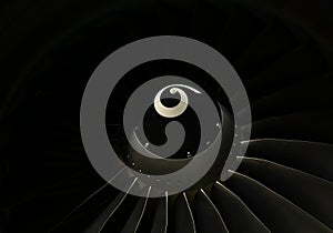 Boeing 737-800 aircraft`s engine`s spinner and fan blades close up