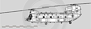 Boeing CH-47 Chinook. Vector drawing of military transport helicopter.