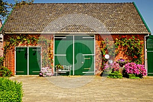 An old refurbished farm barn surrounded by Hydrangeas. photo