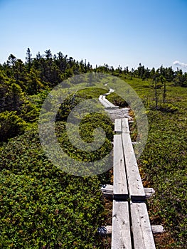 Bog Board Footpath Through Alpine Mountain Terrain