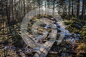 Bog boardwalk is a popular tourist destination in Lahemaa National Park. Estonia. Early springs.