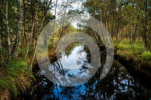 Bog Landscape in  Mecklenburg-Western Pomerania