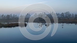 Bog landscape in the morning mist, fuzzy swamp contours of pine, reflections in the bog lake, bog vegetation, sunrise over the