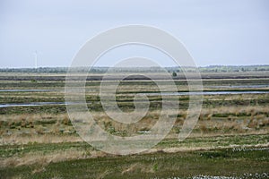 Bog landscape photo