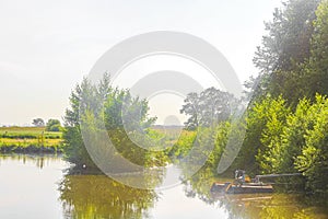 Bog moor swamp pond river lake green plants forest Germany