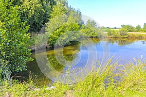 Bog moor swamp pond river lake green plants forest Germany