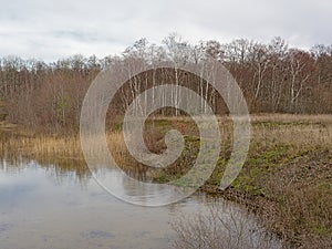 Bog, wetland fields and birch forest on Pakri Peninsula, Paldiski, Estonia