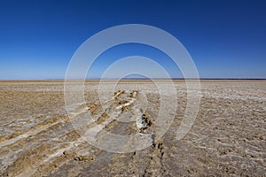 Bogged in Lake Eyre, Salt Lake in the Australian Outback photo