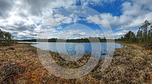 Boggy lakeside of a small lake in northern Sweden