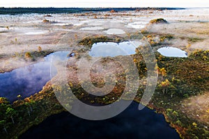 Bogland in Soomaa National Park