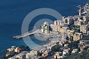 Bogliasco