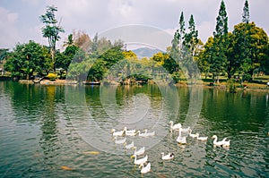 Bogor, Indonesia - A view of the flower themed park Taman Bunga Nusantara in a cloudy afternoon with a view to a green water lake photo