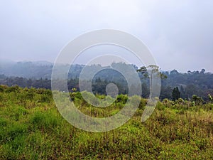 Bogor mountain view